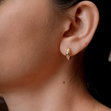 Dune Oval Textured Hoop Earrings